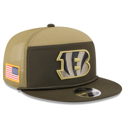 2025 Salute to Service Split Panel Snapback